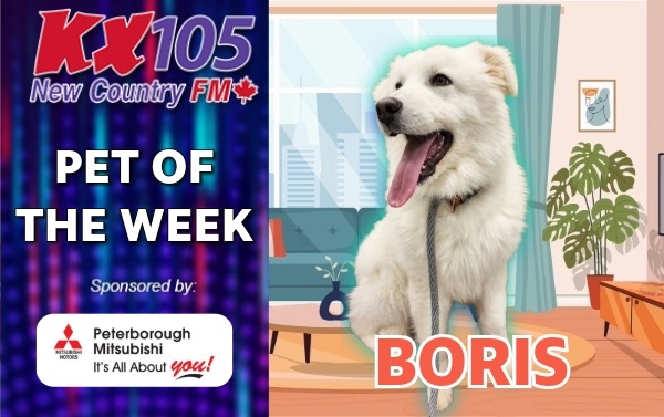 Pet of The Week - Boris 